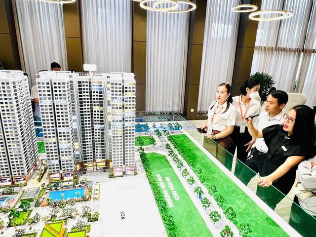 Thực hư thông tin loạt dự án bất động sản bất ngờ giảm giá đến 50%, cam kết mức lợi nhuận mua lại lớn chưa từng có - Ảnh 2.
