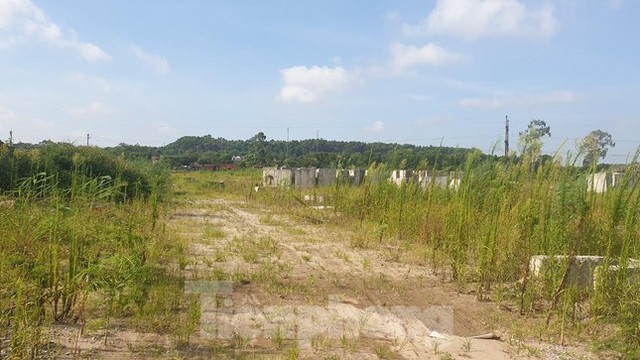  Dự án bán chưa đủ điều kiện, loạt địa phương vào cuộc chấn chỉnh - Ảnh 1.