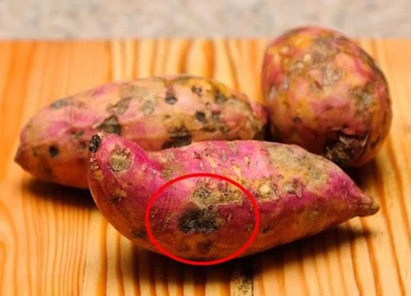 5 điều cấm kỵ khi ăn khoai lang gây hại cho sức khỏe nhưng không phải ai cũng biết - Ảnh 3.