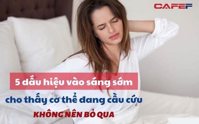 5 dấu hiệu vào sáng sớm ai cũng coi thường, đi khám mới giật mình: Hoá ra bệnh tật đã ẩn náu trong cơ thể từ lâu - Ảnh 1.