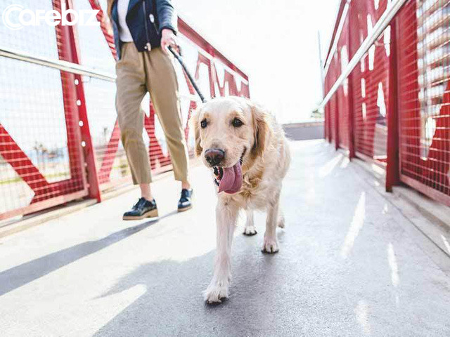  Sống tiêu cực là một lựa chọn, người khôn ngoan ắt biết thay đổi: Chọn sai có thể chọn lại nhưng sống một cuộc đời đầy hận thù là đâm đầu vào ngõ cụt! - Ảnh 1.