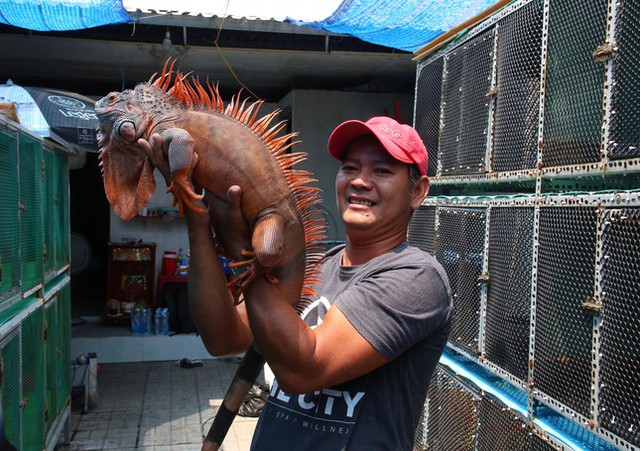 Bỏ việc văn phòng, chàng trai nuôi thú cưng độc lạ ở miền Tây thu trăm triệu mỗi năm - Ảnh 1.