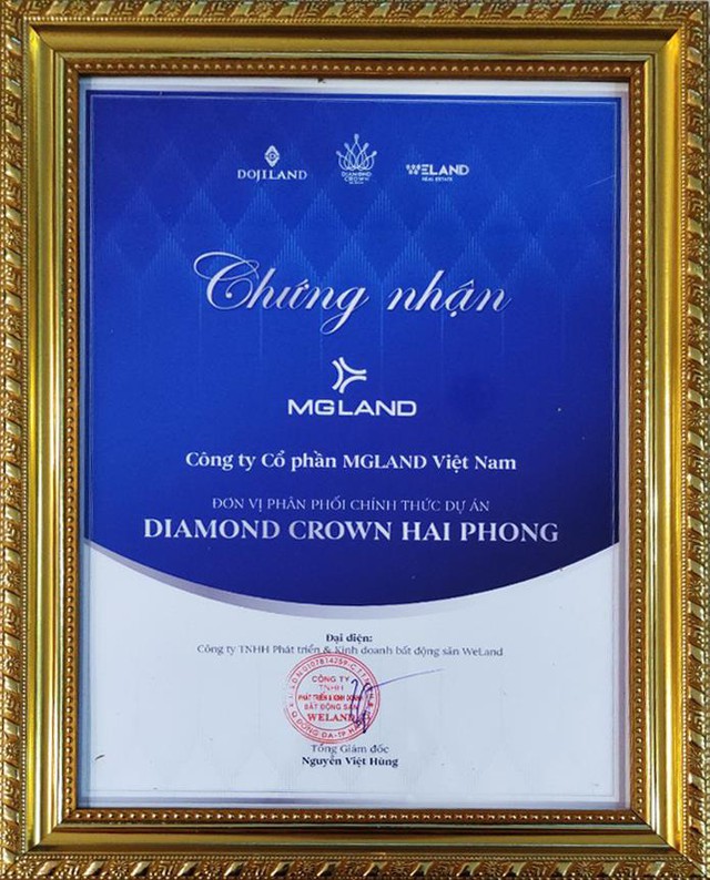 MGLAND chính thức phân phối bất động sản hạng sang đất Cảng Hải Phòng - Ảnh 1.
