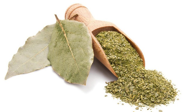 Trồng một cây nguyệt quế bên hiên nhà: Riêng lá cây đã có 8 lợi ích đáng nể cho sức khỏe - Ảnh 3.