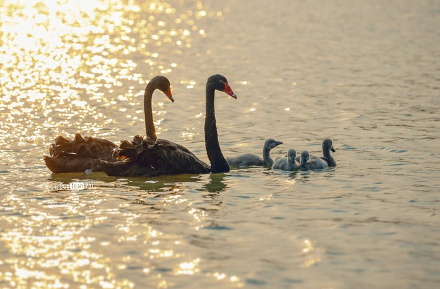 Bên trong đại công viên sinh thái lớn bậc nhất phía Đông Hà Nội có gì? - Ảnh 2.