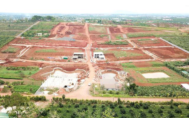 Giao dịch bất động sản Lâm Đồng lao dốc, rủi ro cho nhà đầu tư? - Ảnh 1.