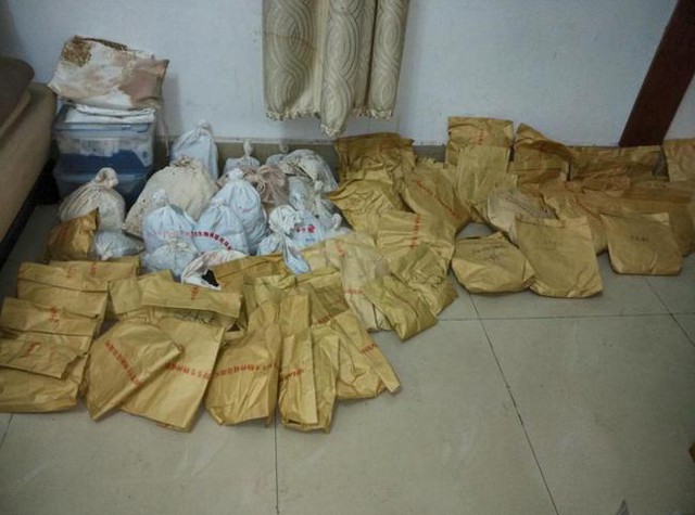Nghề nguy hiểm: Thu thập hạt giống trên núi cao 5.000m hay hố sâu dưới lòng đất với những rủi ro không ai ngờ - Ảnh 16.