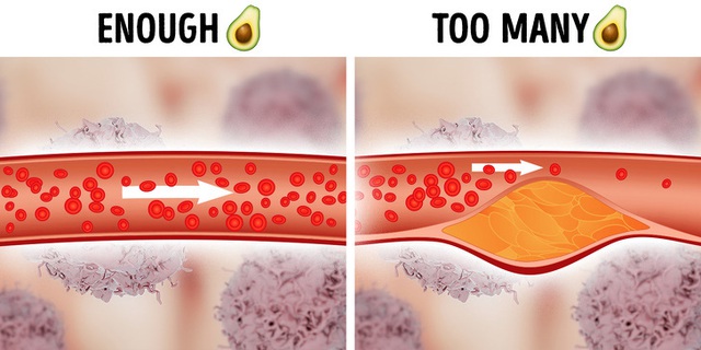 Dù bổ béo đến mấy mà sử dụng quá liều 8 thực phẩm này thì cũng gây tổn hại cho sức khoẻ - Ảnh 4.