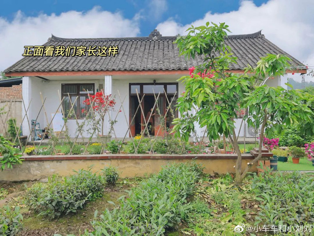 Hai người bạn thân nghỉ hưu ở tuổi 29: Không yêu đương, không xã giao, mua một căn nhà cùng sống vô lo vô nghĩ - Ảnh 16.