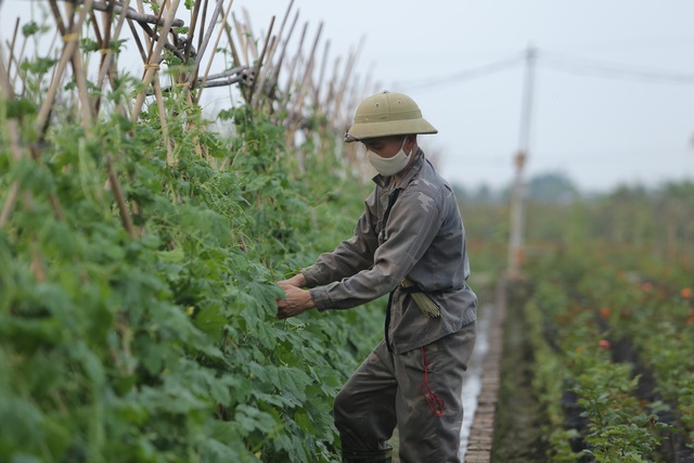 Nhịp sống Hạ Lôi ngày cuối cùng cách ly: Chúng tôi mong đến ngày hết dịch để đi làm chứ nằm ở nhà thì chết - Ảnh 12.