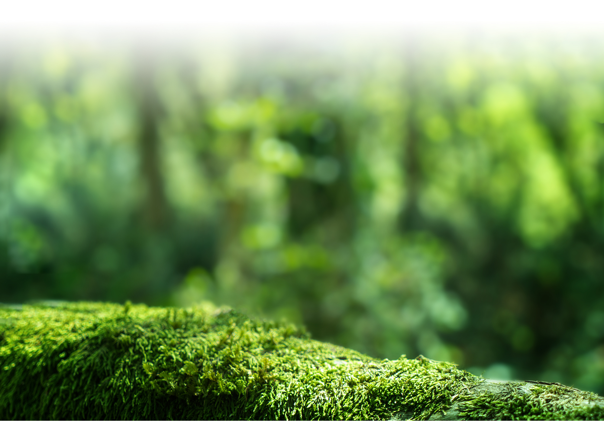 Sự lựa chọn ‘ngược dòng’ của ACB vào đúng dịp kỷ niệm 30 năm - Ảnh 12.