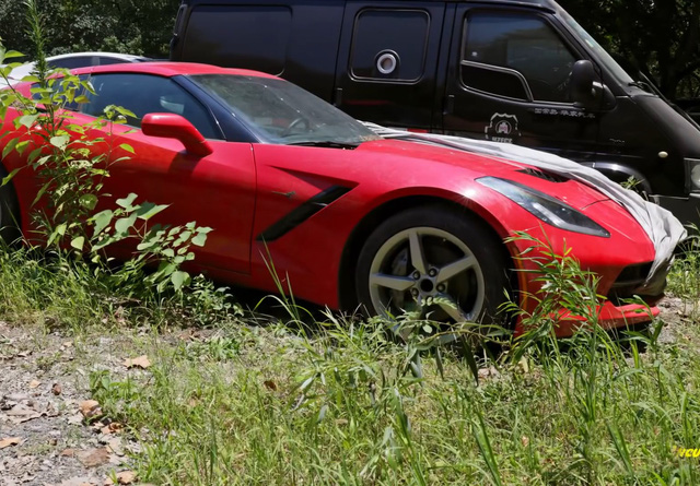 Xót xa toàn siêu xe, xe siêu sang tại nghĩa địa ô tô Trung Quốc: Rolls-Royce, Porsche, Corvette vứt cả đống, từ từ mục nát - Ảnh 5.