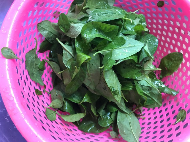 4 món ăn bổ thận cường dương nổi tiếng từ cổ chí kim: Nguyên liệu dễ kiếm, chữa nhiều bệnh - Ảnh 3.