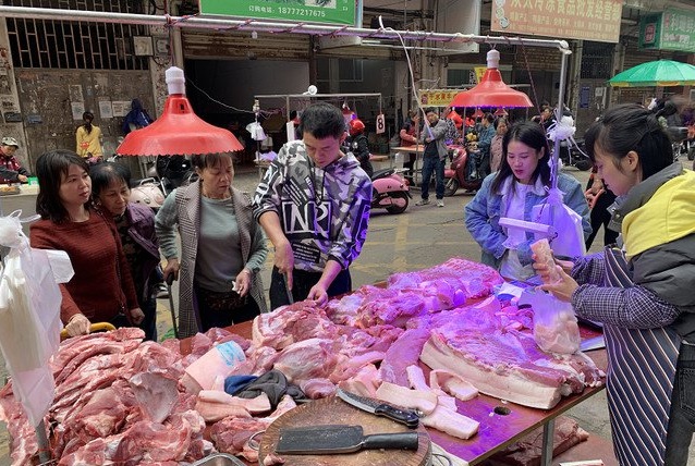 Nợ gần 7 tỷ đồng sau khởi nghiệp đổ vỡ, cử nhân đại học bỏ công chức đi livestream bán thịt lợn, kiếm hơn 100 triệu đồng mỗi tháng - Ảnh 2.