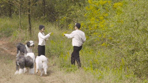 Từ bỏ ngôi nhà tiền tỷ đẹp như mơ ở thành phố, cặp vợ chồng 35 tuổi chi bộn tiền chỉ để thực hiện điều này - Ảnh 9.