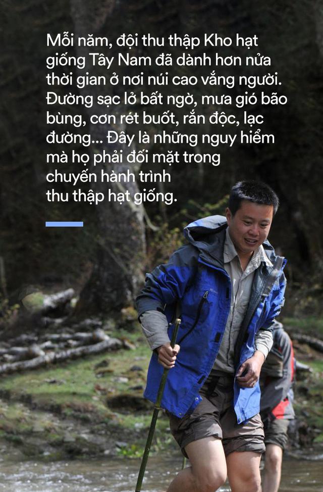 Nghề nguy hiểm: Thu thập hạt giống trên núi cao 5.000m hay hố sâu dưới lòng đất với những rủi ro không ai ngờ - Ảnh 5.