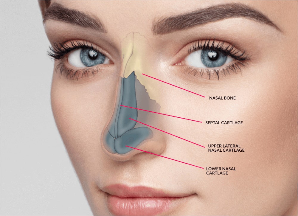 Rhinoplasty Unveiled: Transform Your Nose