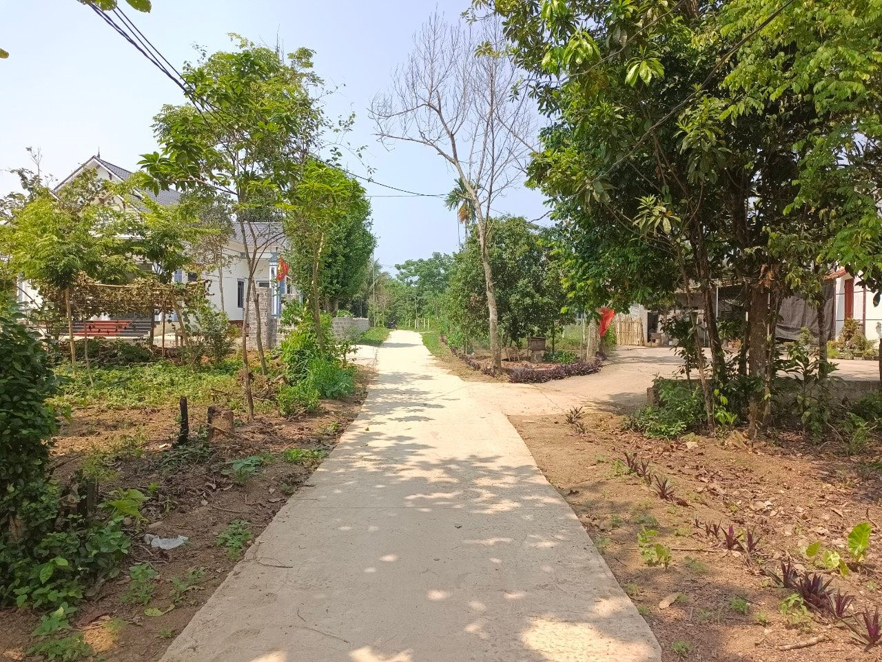 Nỗi khổ của nhà đầu tư gồng lãi ngân hàng: Chấp nhận bán nhà trung tâm Thủ đô, "nuôi" bất động sản ở tỉnh - Ảnh 1.